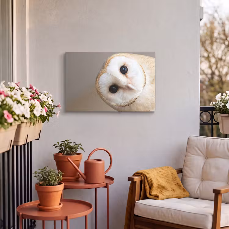 Buiten canvas - Uil - Bruin - Wit — 3