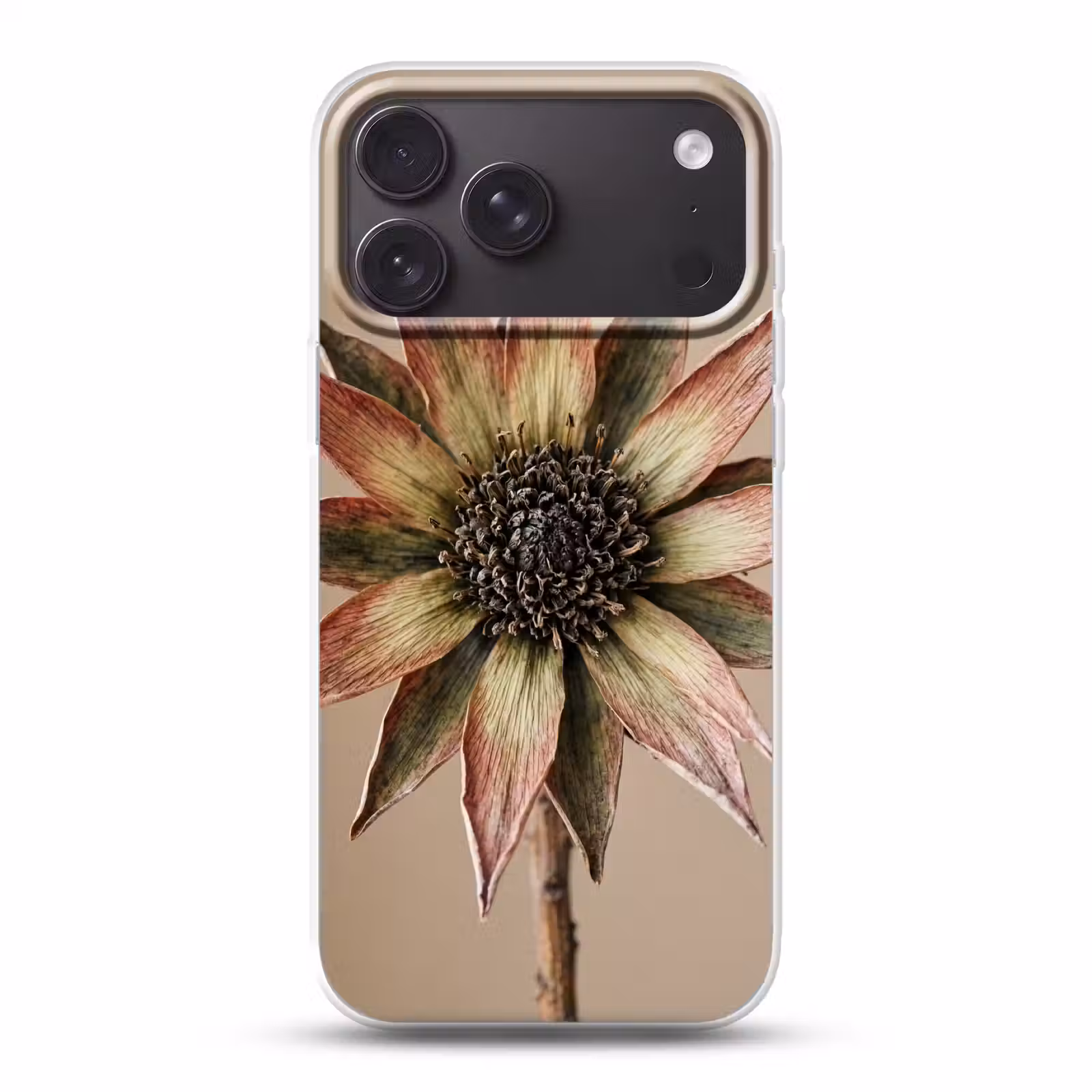 Telefoonhoesje Softcase - Droogbloem - Protea - Vintage - Beige - Rustiek — 1