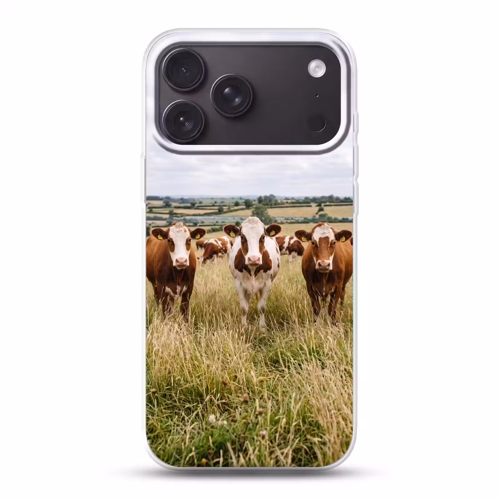 Telefoonhoesje Softcase - Koeien - Portret - Weide - Boerderij - Nieuwsgierig — 1