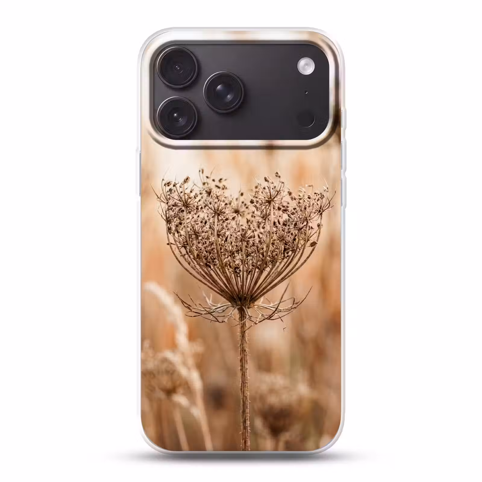 Telefoonhoesje Softcase - Schermbloem - Droogbloem - Winter - Beige - Minimalistisch — 1