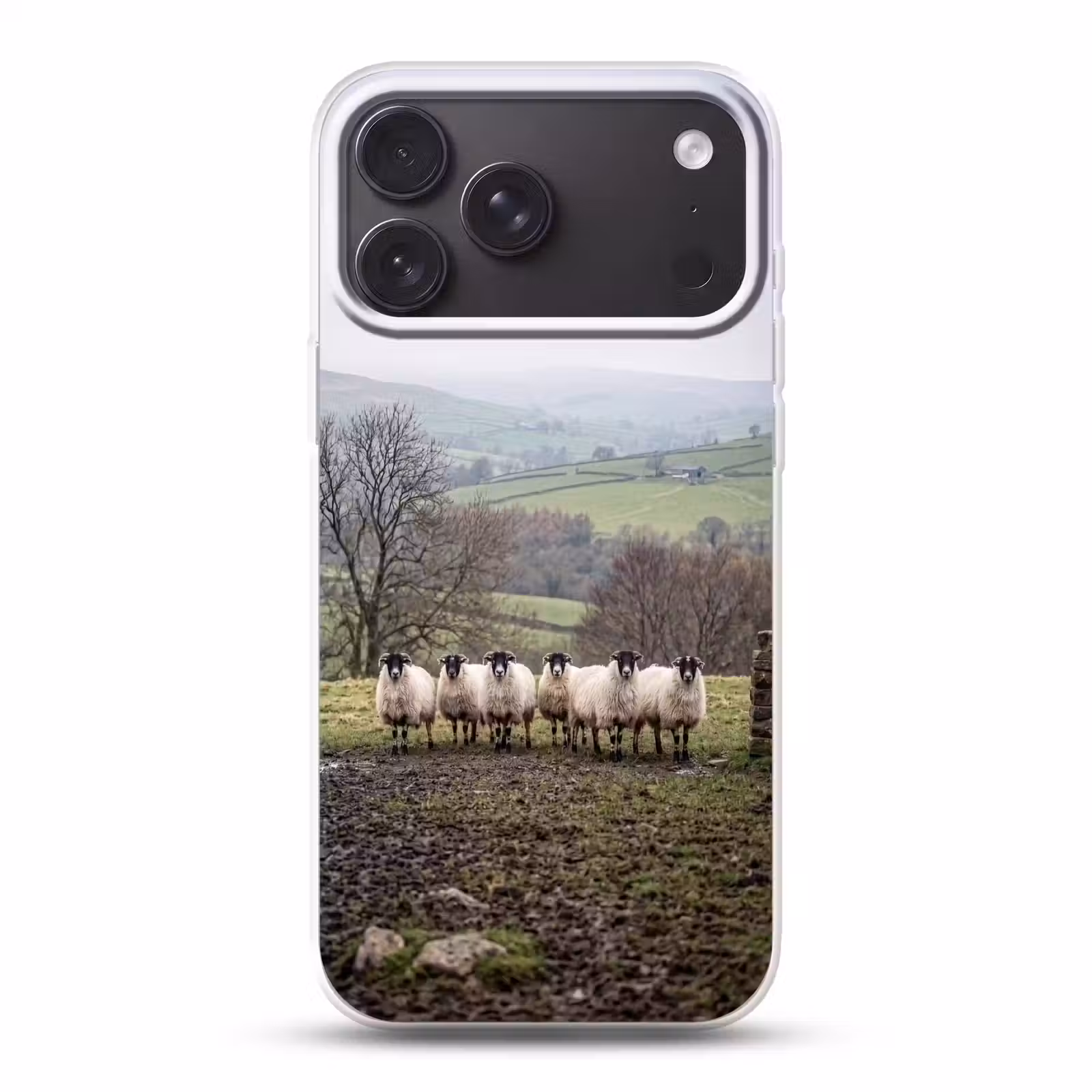 Telefoonhoesje Softcase - Schapen - Rij - Weide - Dieren - Platteland — 1