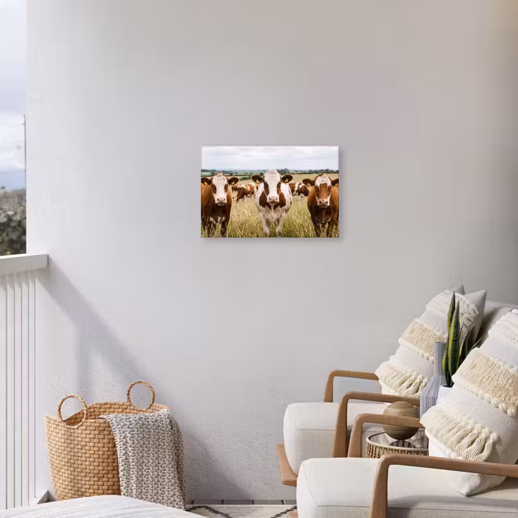 Buiten canvas - Koeien - Portret - Weide - Boerderij - Nieuwsgierig — 3