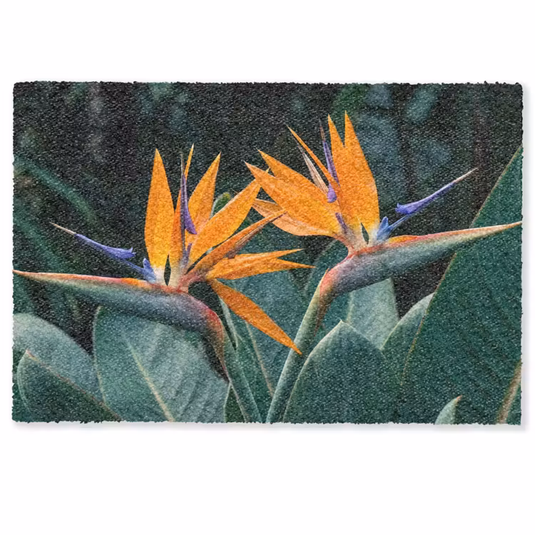 Deurmat - Paradijsvogel - Bloem - Exotisch