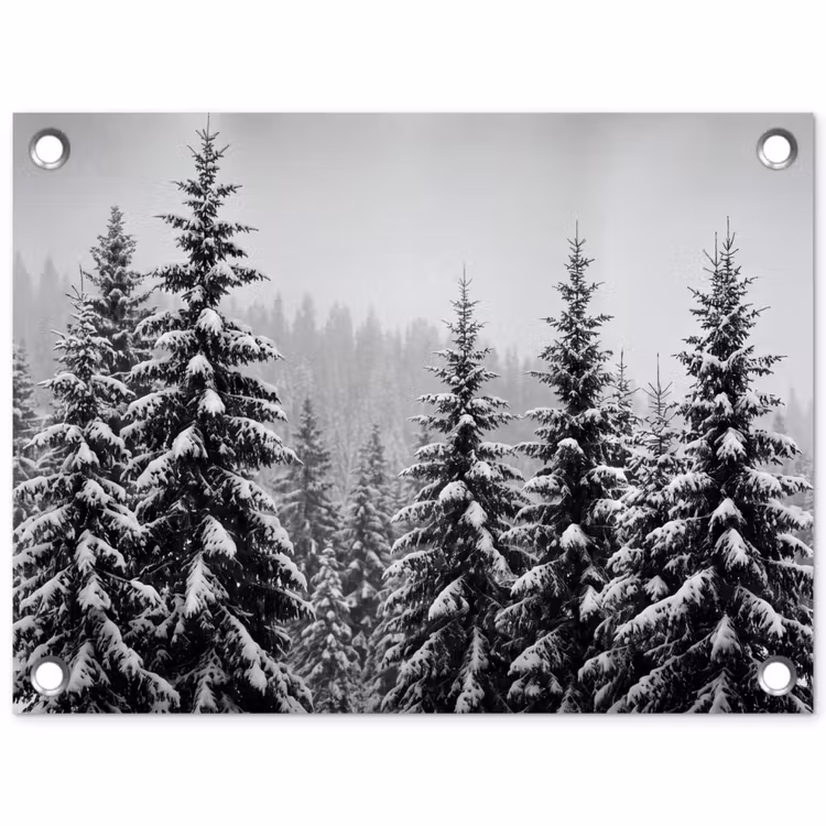 Tuinposter - Bomen - Sneeuw - Natuur