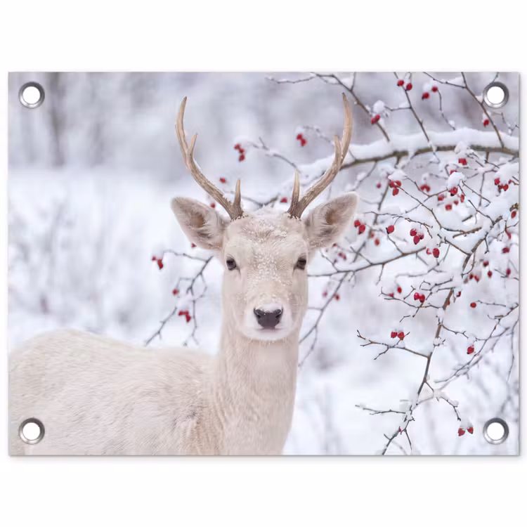 Tuinposter - Hert - Natuur - Sneeuw