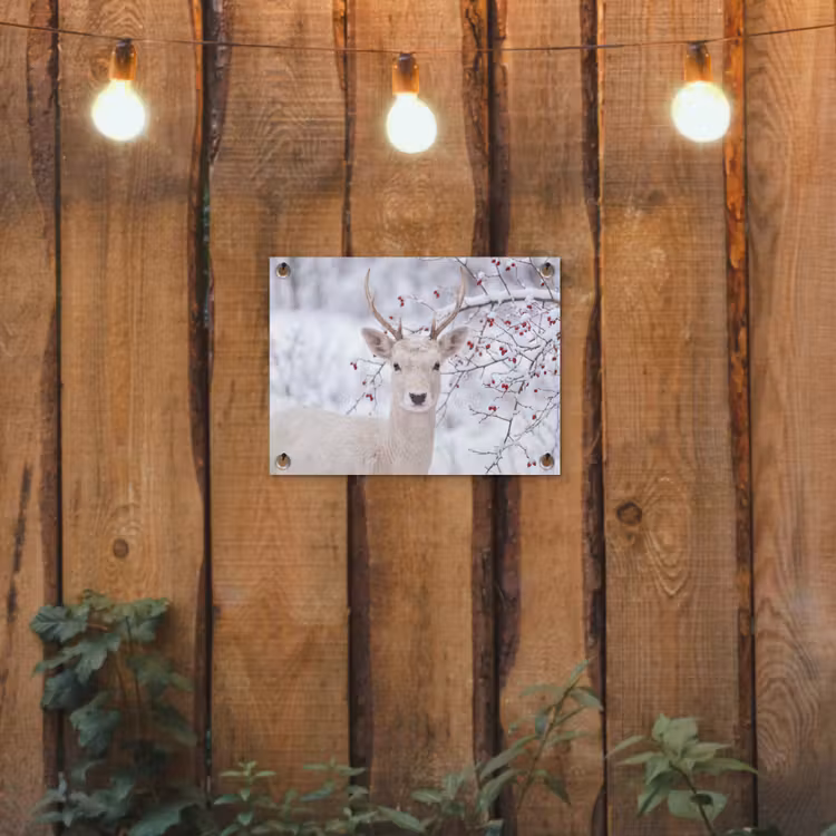 Tuinposter - Hert - Natuur - Sneeuw — 2