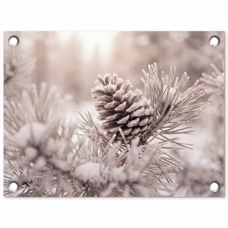 Tuinposter - Dennenappel - Winter - Natuur