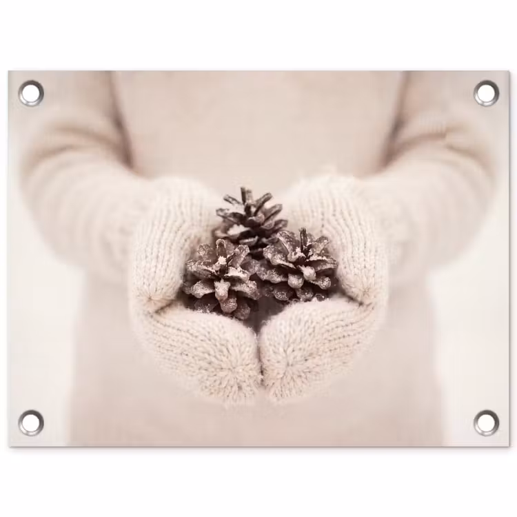 Tuinposter - Dennenappels - Sneeuw - Winter