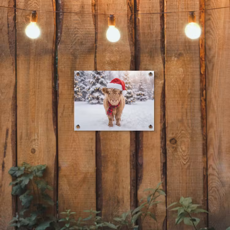 Tuinposter - Koe - Kerst - Sneeuw — 2