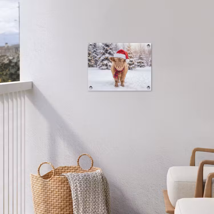 Tuinposter - Koe - Kerst - Sneeuw — 3