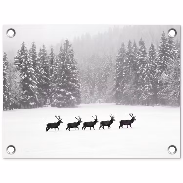 Tuinposter - Natuur - Bos - Winter