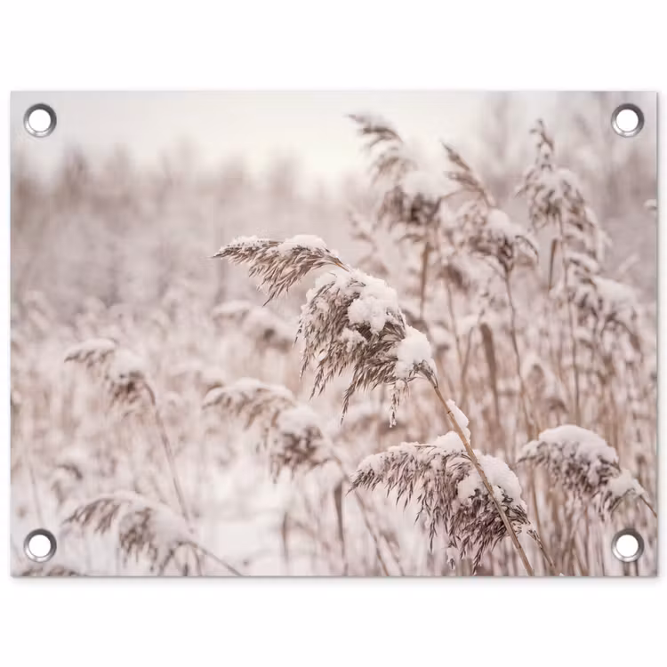 Tuinposter - Riet - Sneeuw - Winter