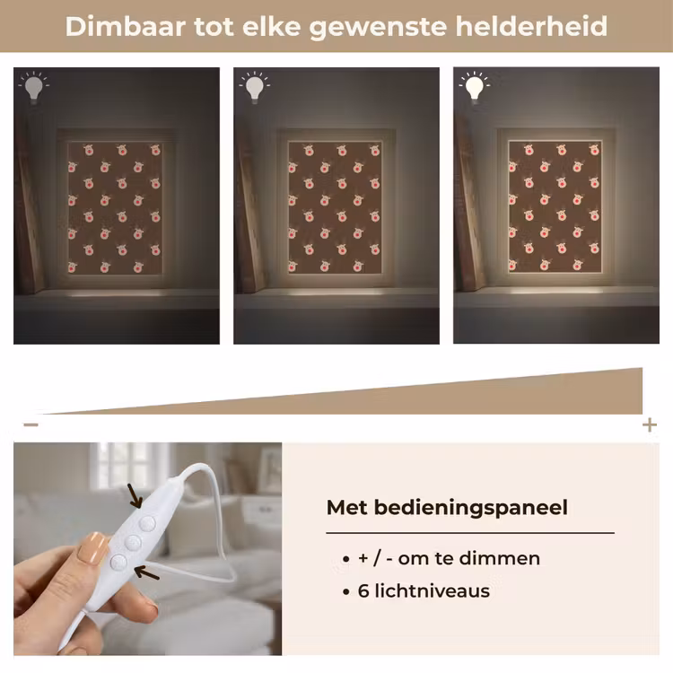 Gepersonaliseerde Lightbox - Rendieren - Kerst - Bruin — 8