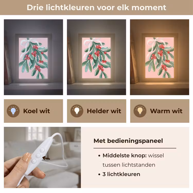 Gepersonaliseerde Lightbox - Plant - Kerst - Roze — 6