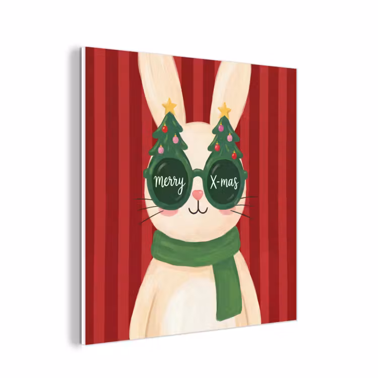 Forex - Konijn - Kerst - Dieren