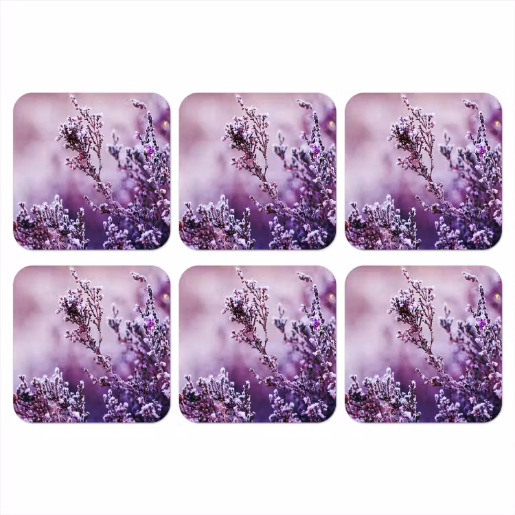 Onderzetter - Lavendel - Winter - Bloemen - Paars — 1