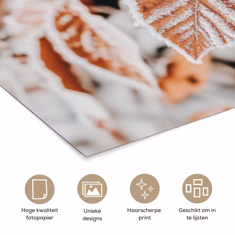 Poster - Bladeren - IJs - Winter - Natuur — 5