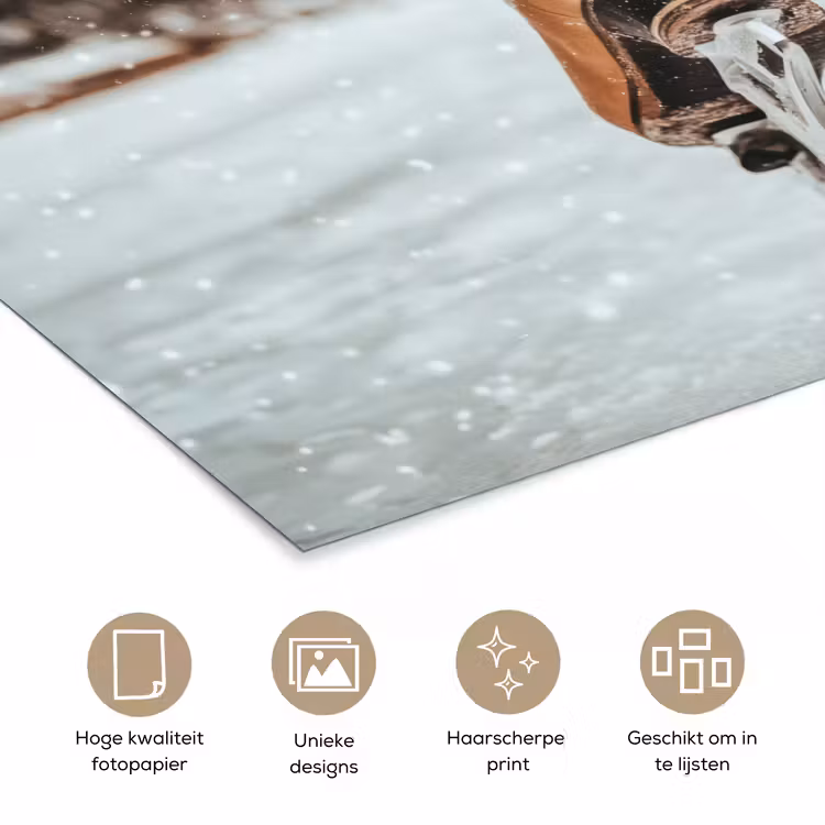 Poster - Schaatsen - IJs - Winter - Sneeuw — 5