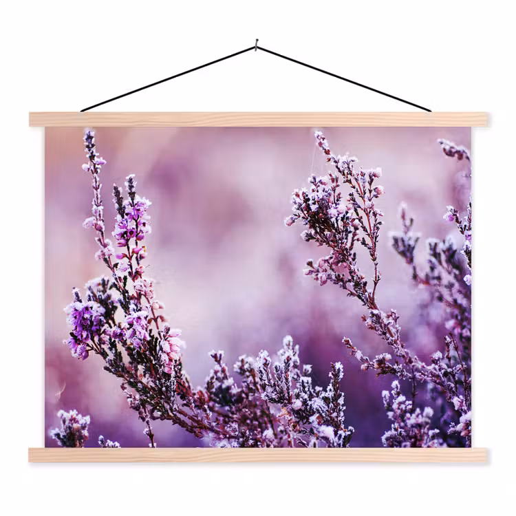 Schoolplaat - Lavendel - Winter - Bloemen - Paars — 1