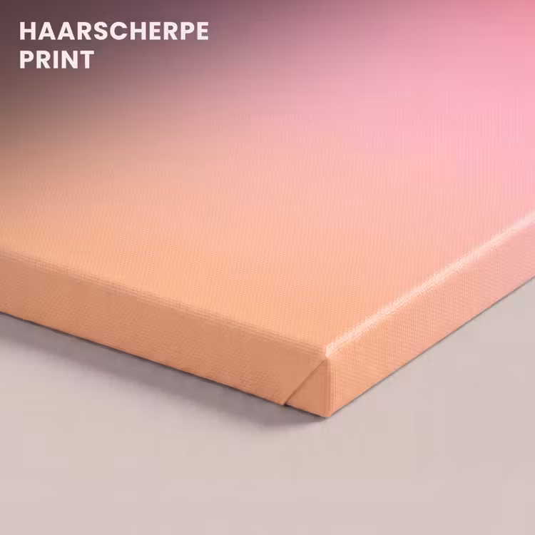 Canvas schilderij - Gradiënt - Rood - Roze — 5