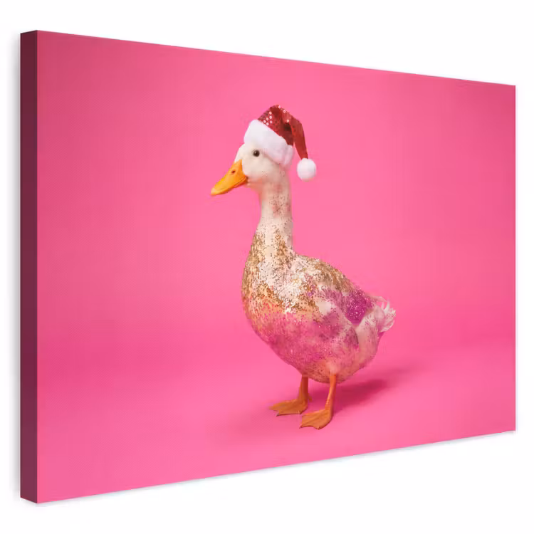 Canvas schilderij - Vogel - Kerst - Roze — 1