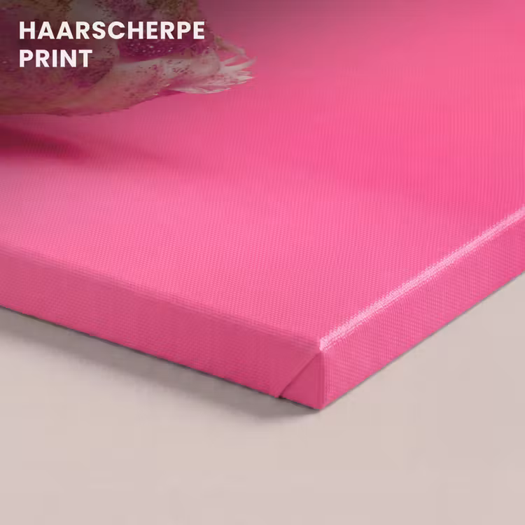 Canvas schilderij - Vogel - Kerst - Roze — 5