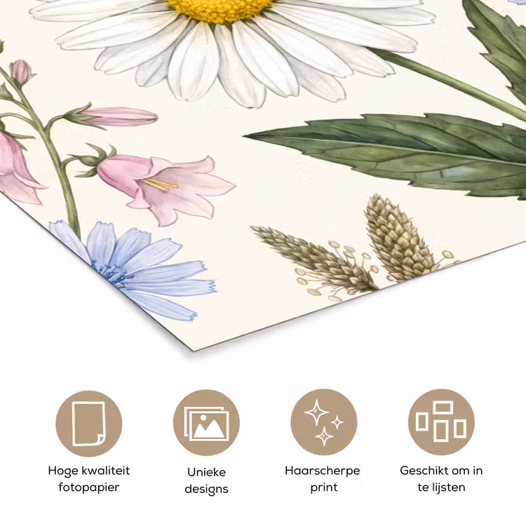Poster - Botanisch - Illustratie - Kleurrijk — 5