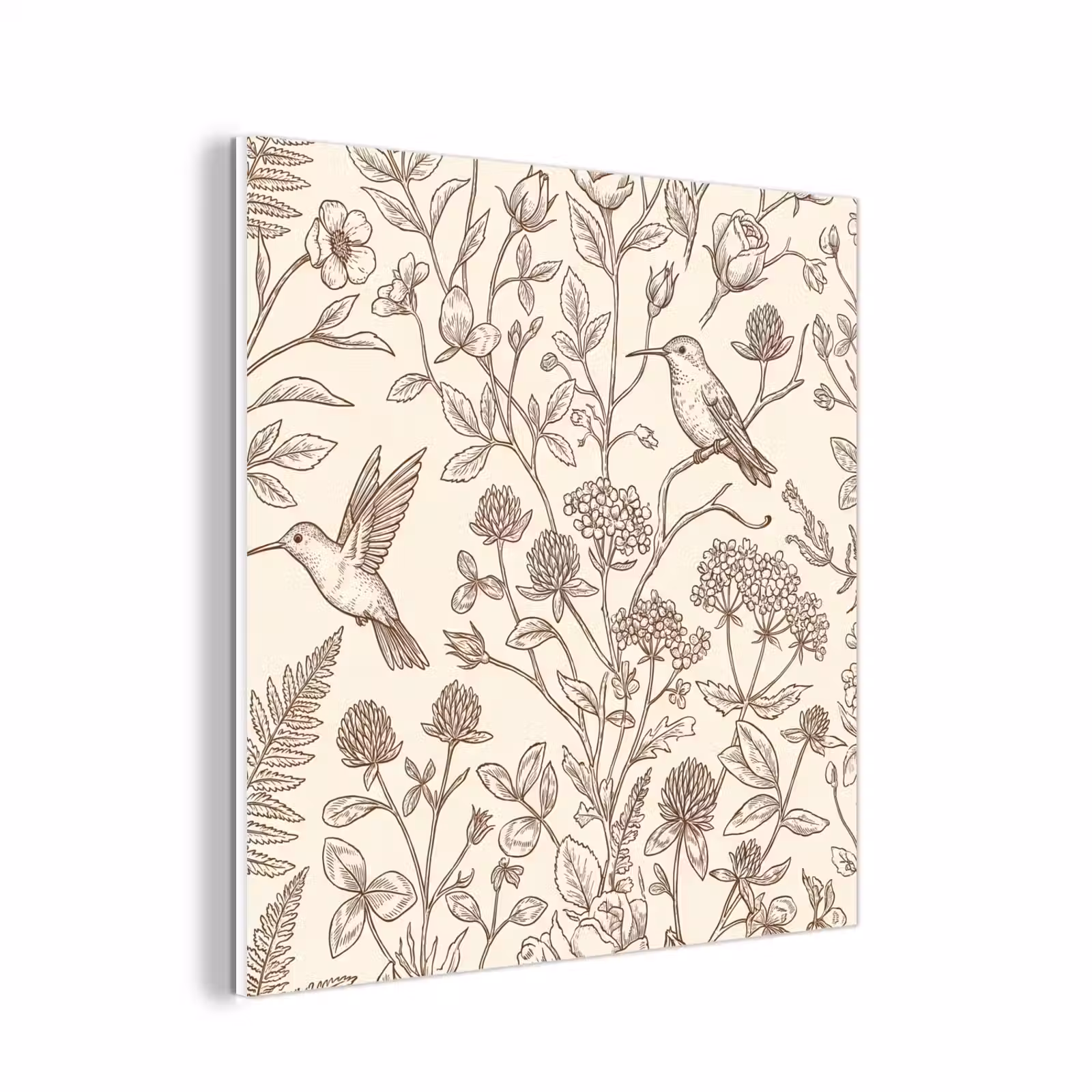 Forex - Natuur - Vogels - Tekening — 1