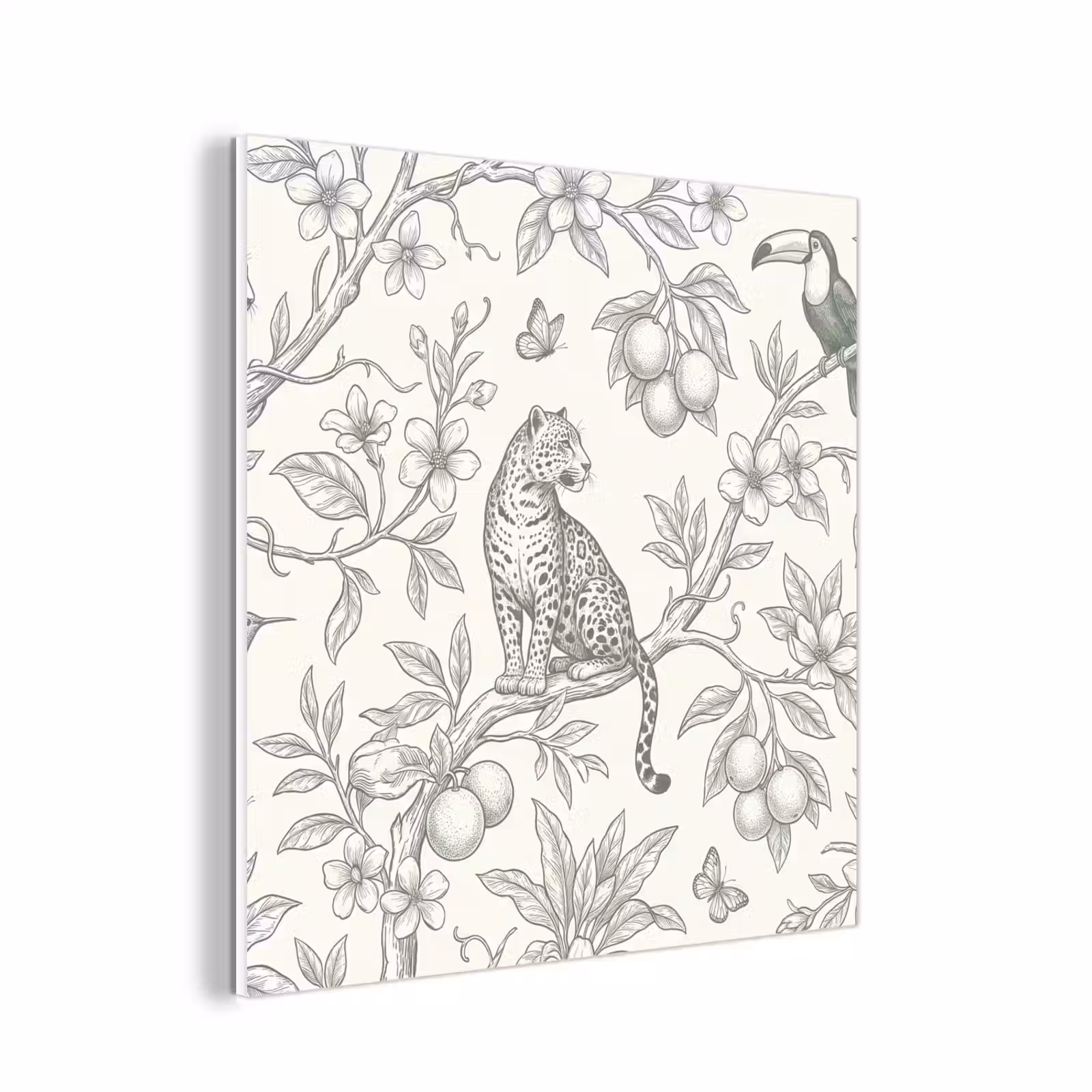 Forex - Vogel - Natuur - Illustratie — 1