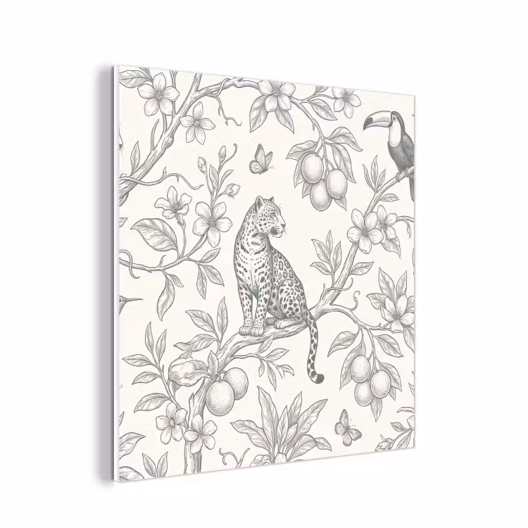 Forex - Vogel - Natuur - Illustratie — 1
