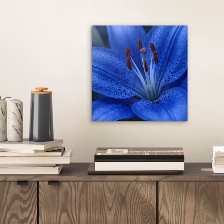 Aluminium schilderij - Blauwe bloem - Natuur — 2