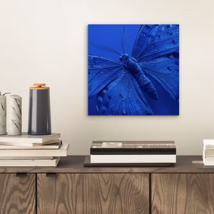 Aluminium schilderij - Blauwe vlinder - Insect — 2