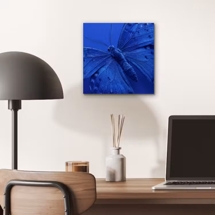 Aluminium schilderij - Blauwe vlinder - Insect — 6