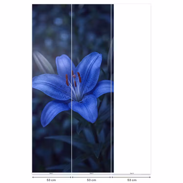 Behang - Blauwe bloem - Natuur β 6