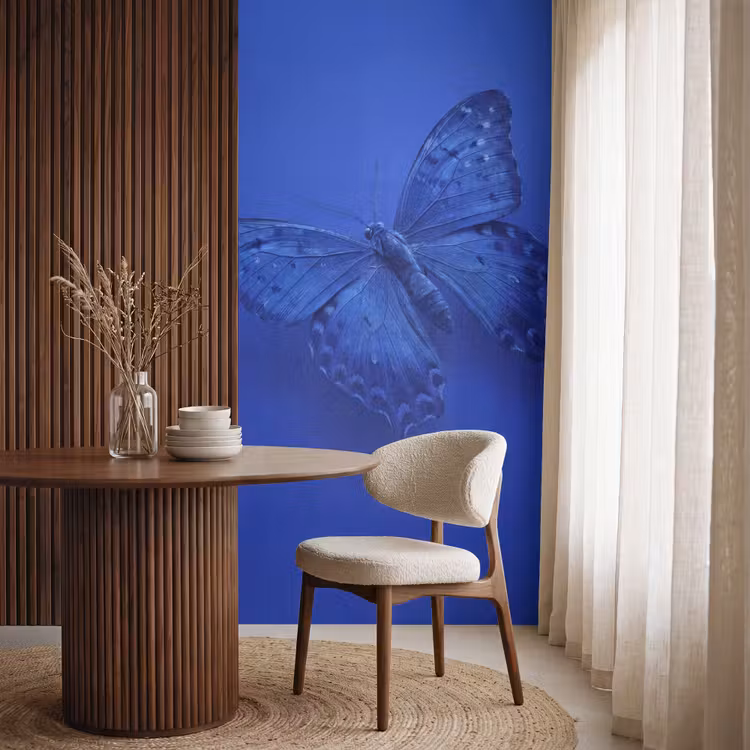 Behang - Blauwe vlinder - Insect β 4