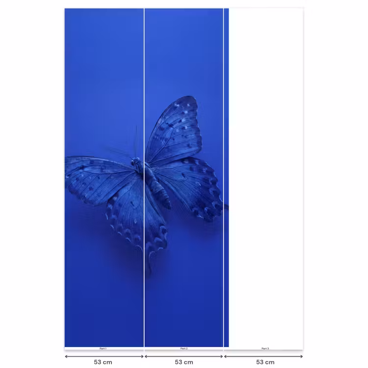 Behang - Blauwe vlinder - Insect β 6
