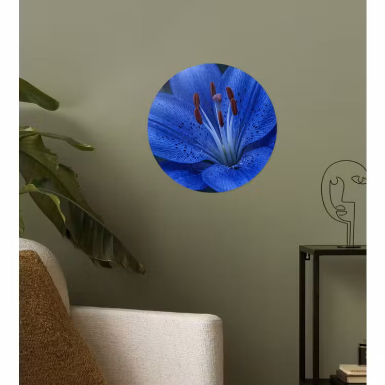 Behangcirkel - Blauwe bloem - Natuur — 3