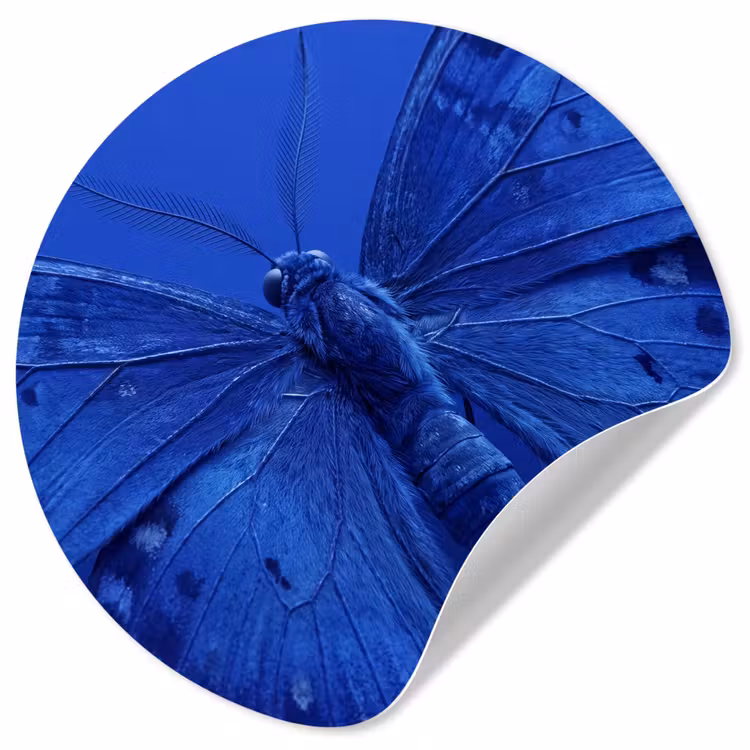 Behangcirkel - Blauwe vlinder - Insect — 1
