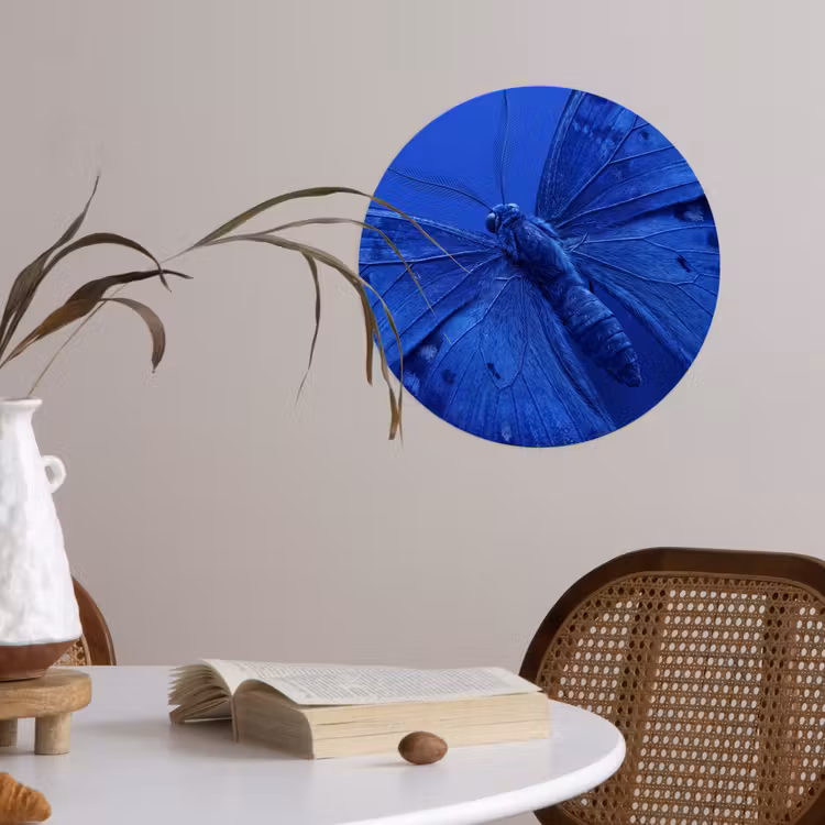 Behangcirkel - Blauwe vlinder - Insect — 4