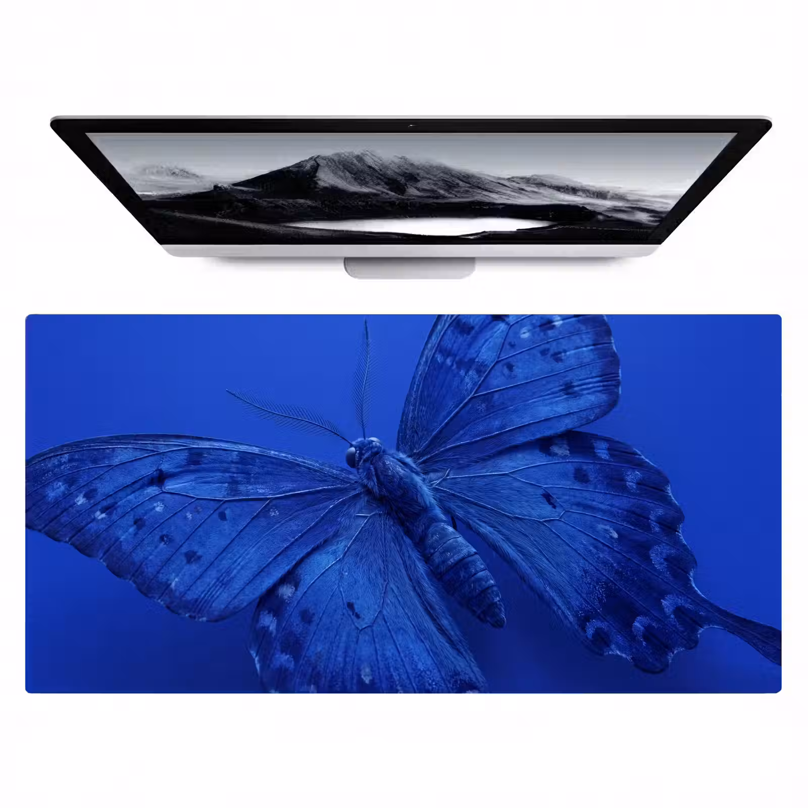 Bureau onderlegger - Blauwe vlinder - Insect — 1