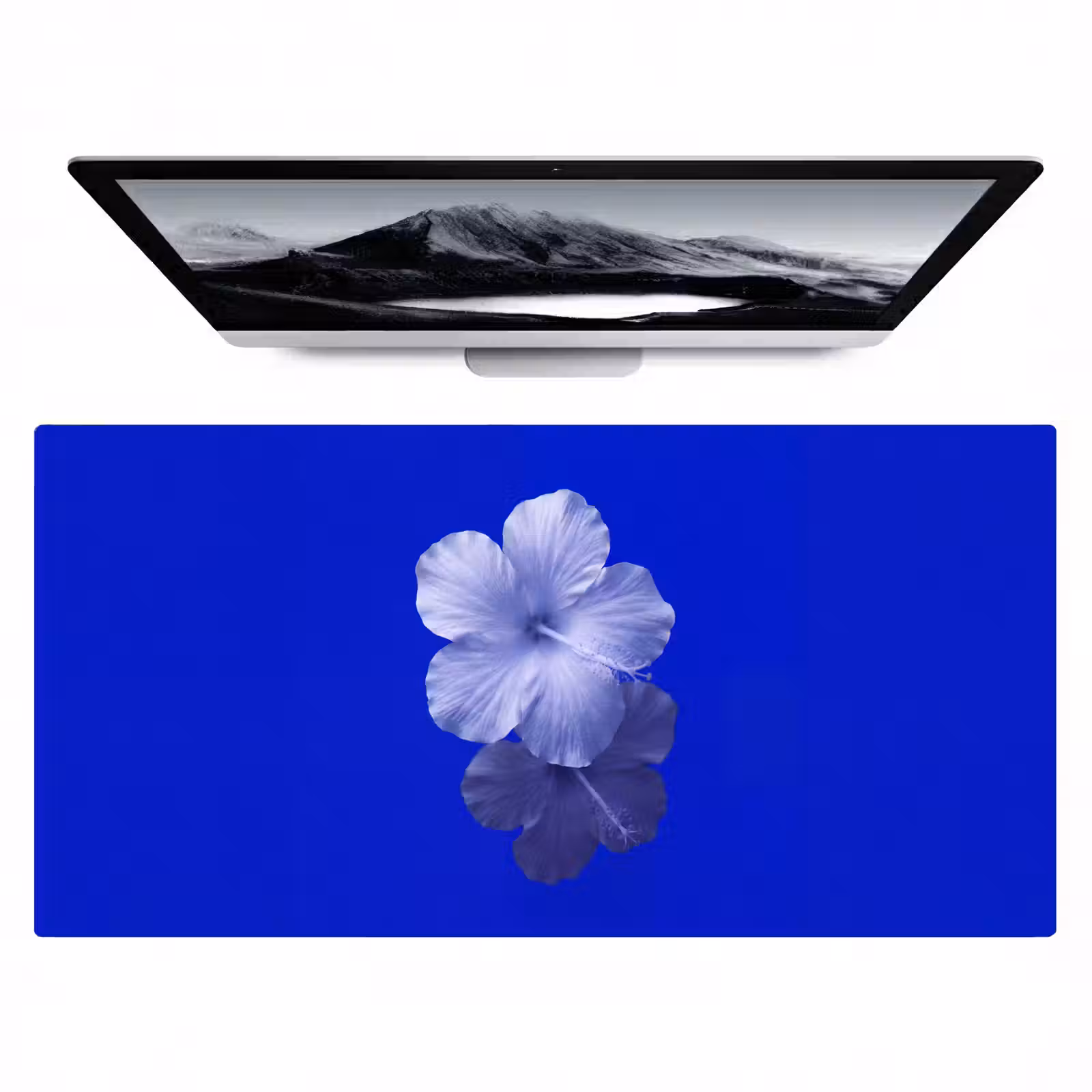 Bureau onderlegger - Bloemen - Blauw - Natuur — 1