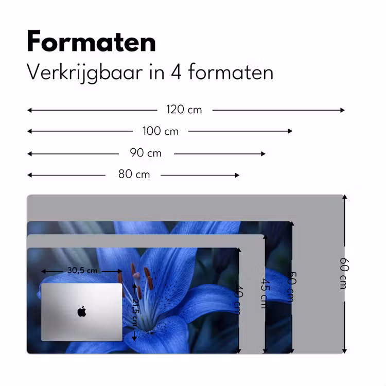 Bureau onderlegger - Blauwe bloem - Natuur — 8
