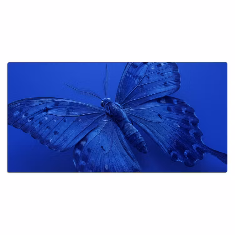 Bureau onderlegger - Blauwe vlinder - Insect — 2