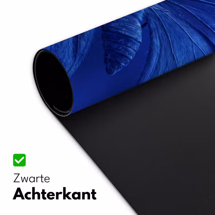 Bureau onderlegger - Blauwe vlinder - Insect — 5