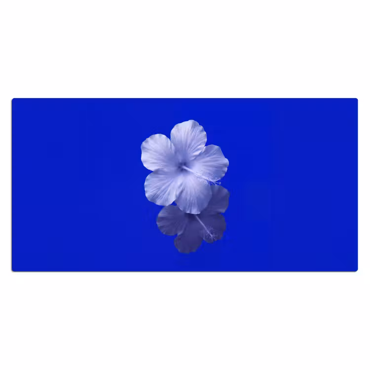 Bureau onderlegger - Bloemen - Blauw - Natuur — 2