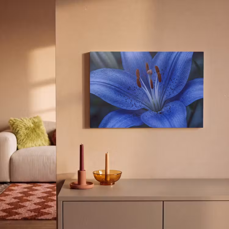 Canvas schilderij - Blauwe bloem - Natuur — 2