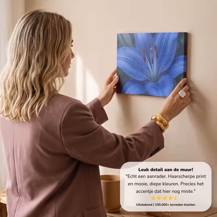 Canvas schilderij - Blauwe bloem - Natuur — 3