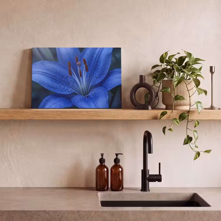 Canvas schilderij - Blauwe bloem - Natuur — 4