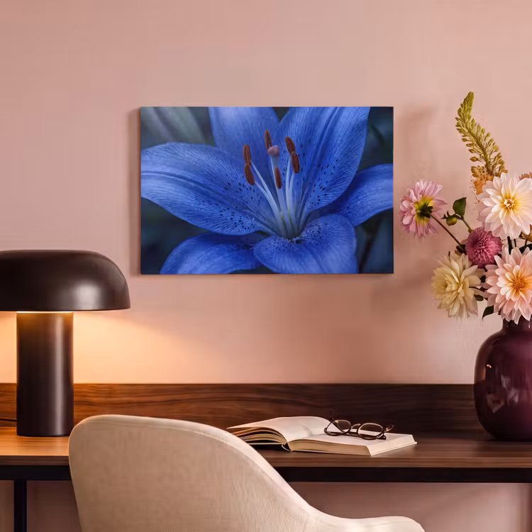 Canvas schilderij - Blauwe bloem - Natuur — 6