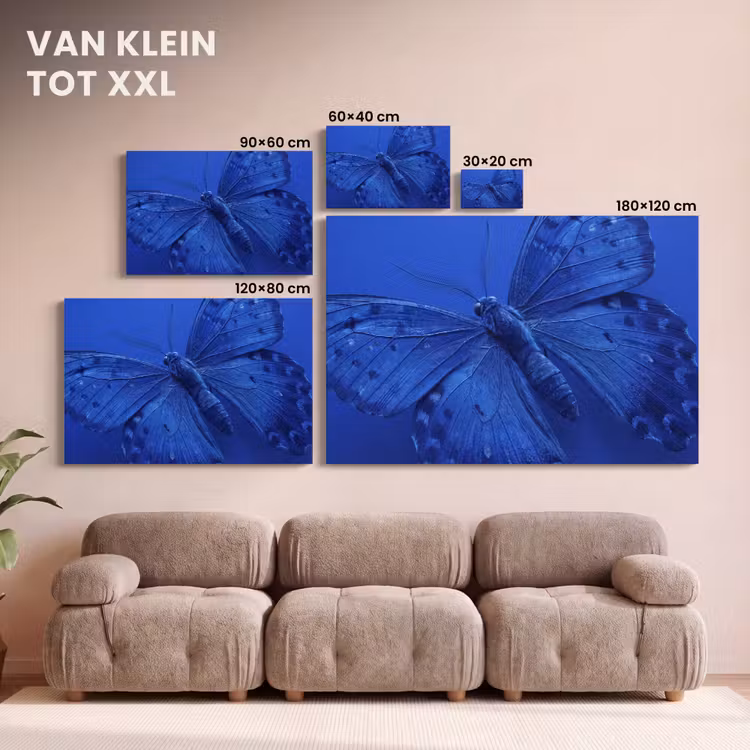 Canvas schilderij - Blauwe vlinder - Insect — 8